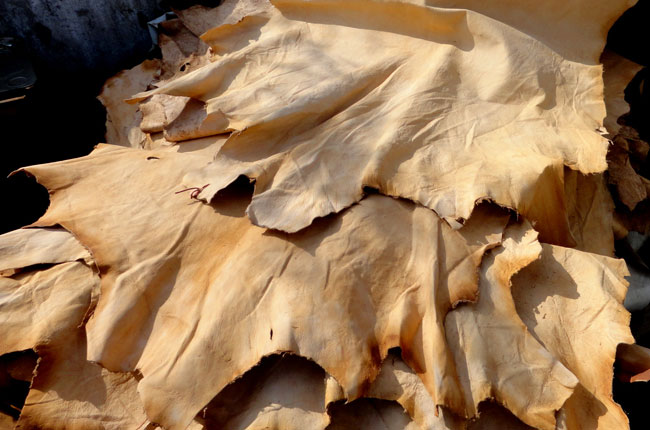 Qurbani Skins